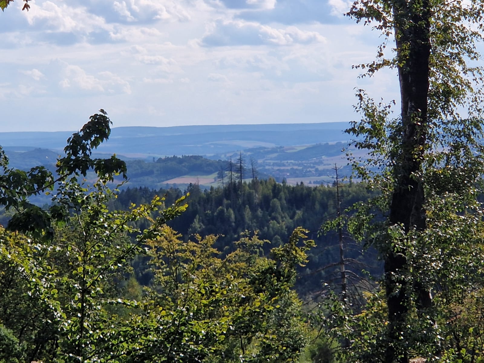 Harz 1