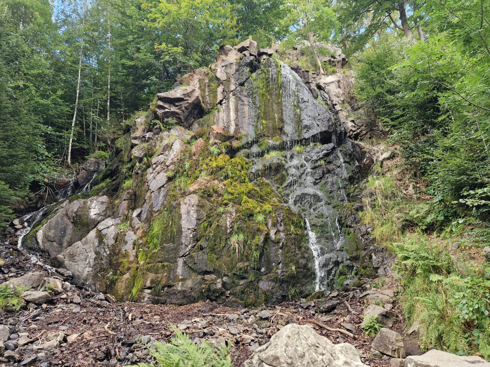 Harz 12