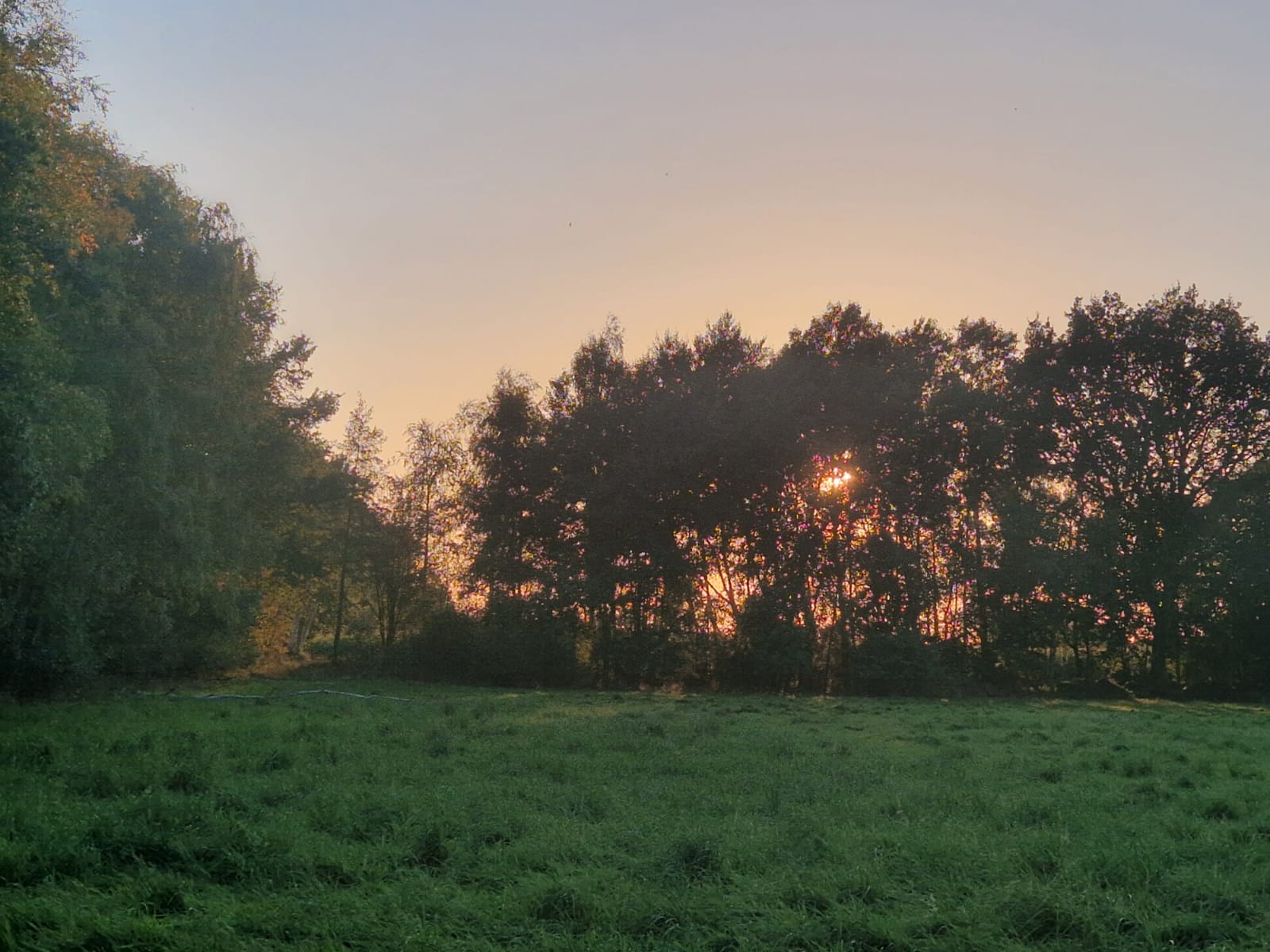 Harz 15