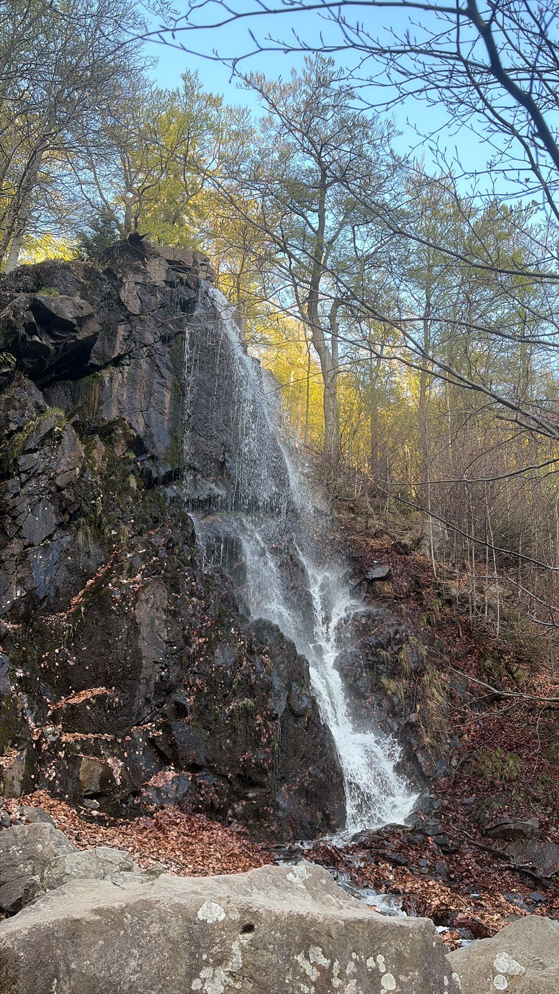 Harz 19