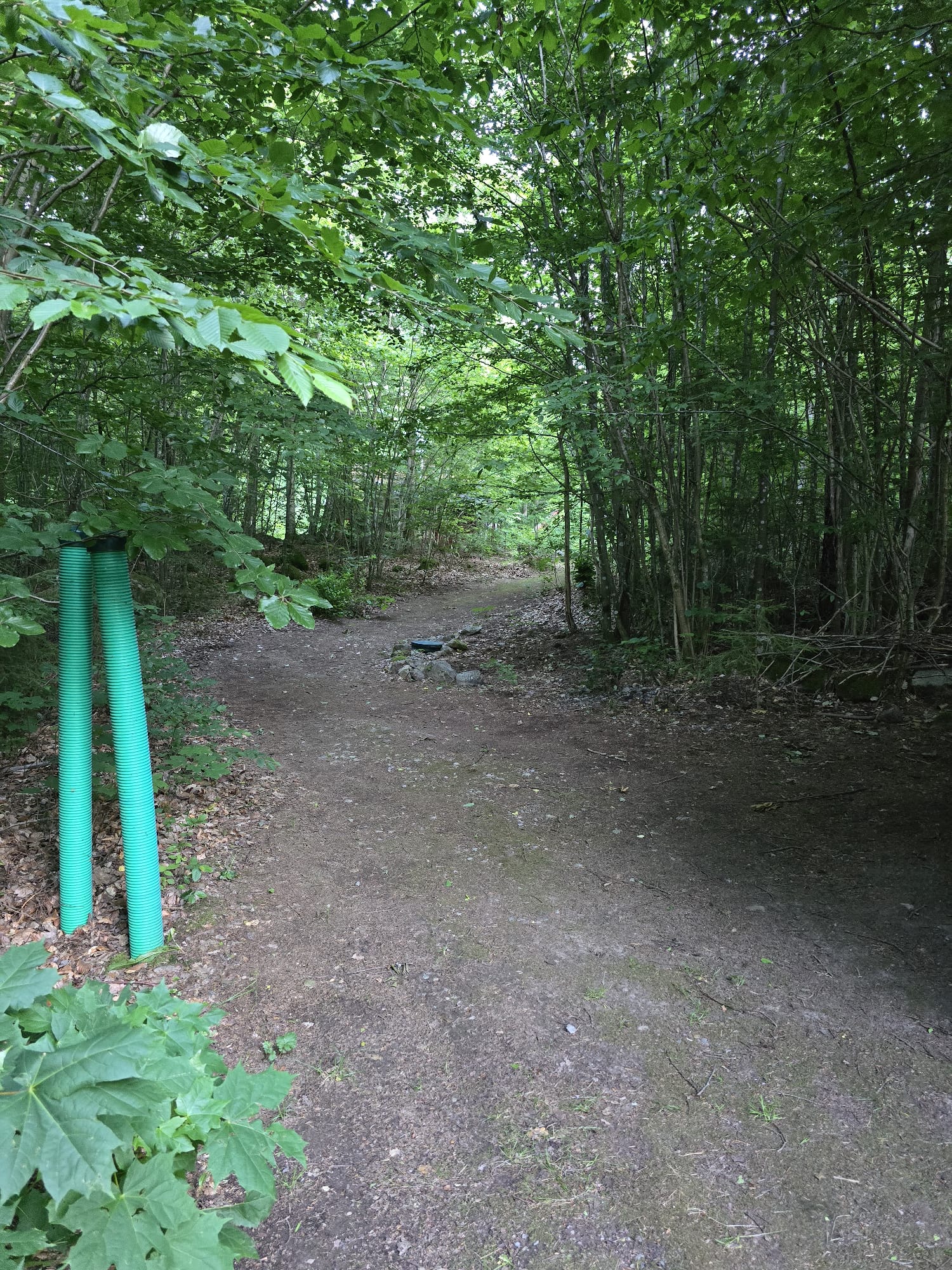 Schweden 2